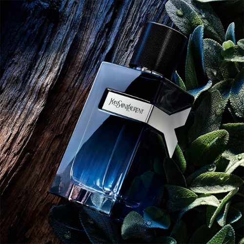 y d yves saint laurent